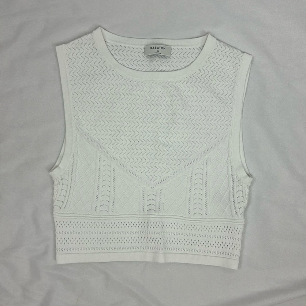 Babaton from Aritzia knit crop top